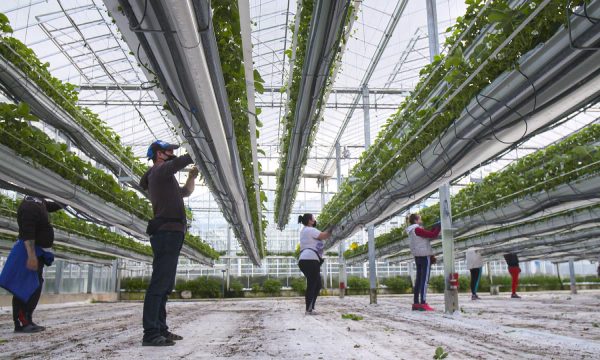 Arbeitsmigranten_2 Arte Doku Die Lückenschließer